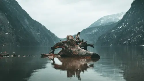 A Game Of Reflections