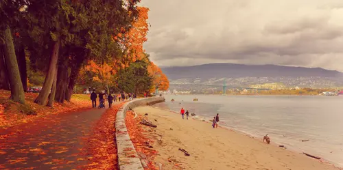 Autumn By The Beach