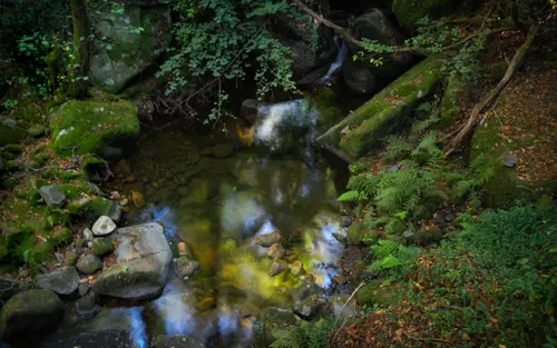 Autumn Reflections