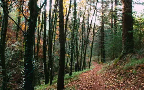 Autumn Versus Winter