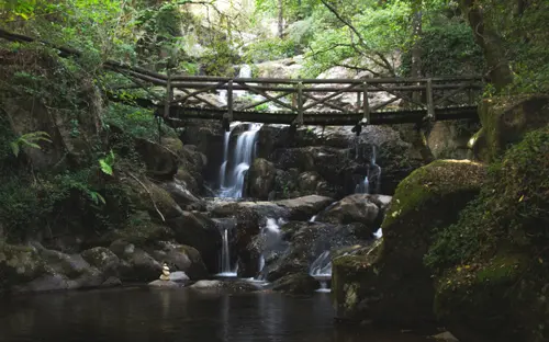 Brook Bridge