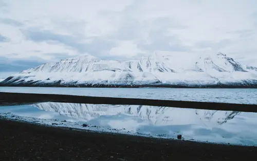 Cold Reflections