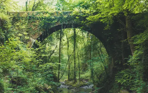 Fairytale Bridge