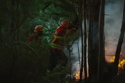 Firefighters