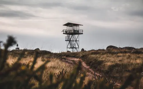 Firewatch