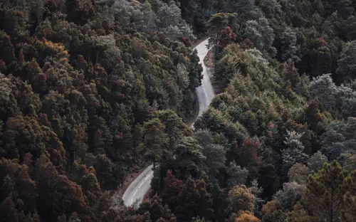 First Colors Of Fall