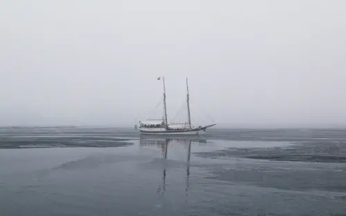 Floating In Ice