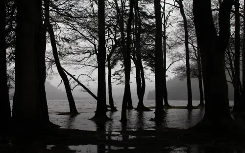 Flooded