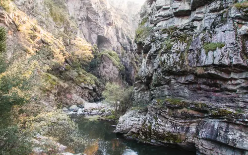 Flowing Among Giants