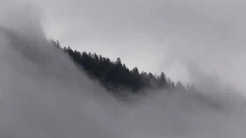 Foggy Peaks