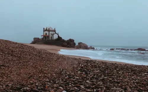 Foggy Waves