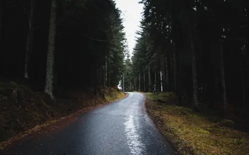 Follow The Light