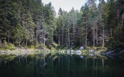 Giants Reflection