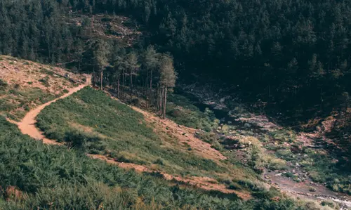 Hot Land