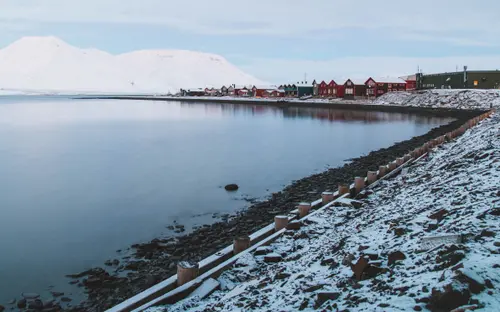 Ice Coast Line