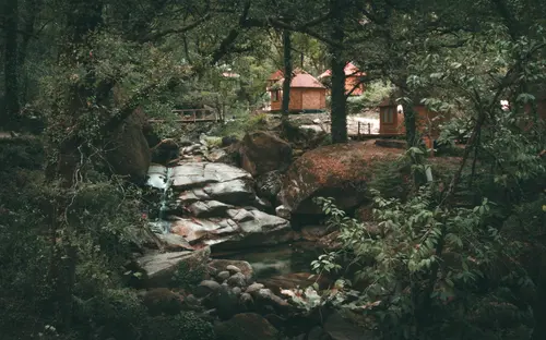 Little Bungalows