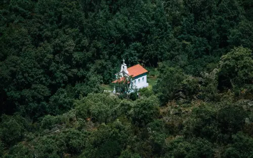 Lost In The Valley