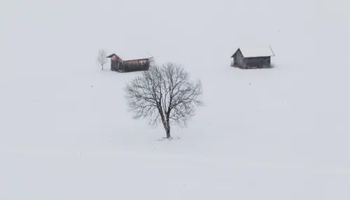 Lost In White