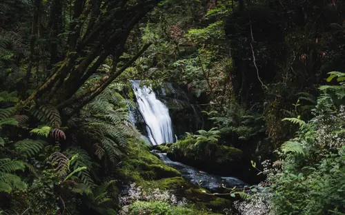 Lost Waterfall