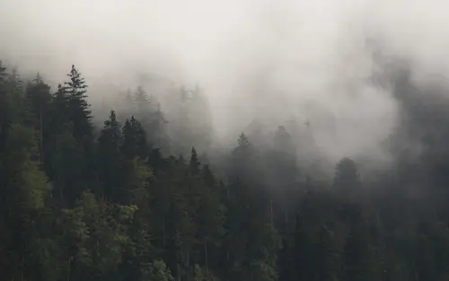 Mist Among Giants