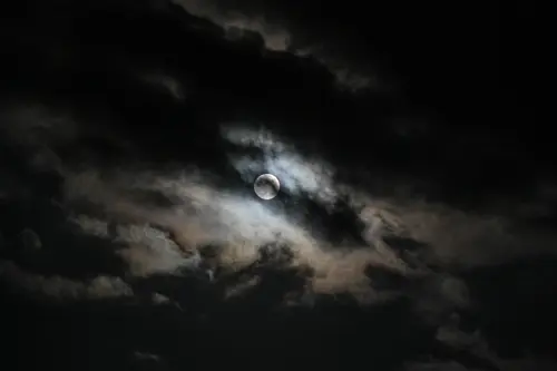 Moonlight