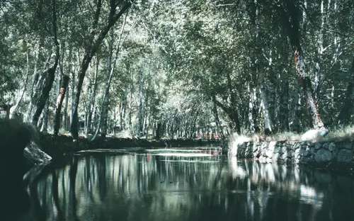 Nature Reflections