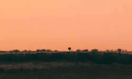 Orange Horizon