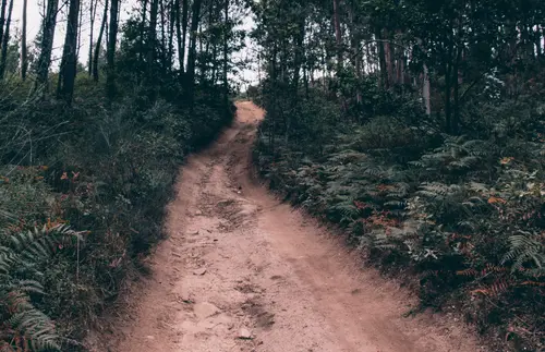 Pathway