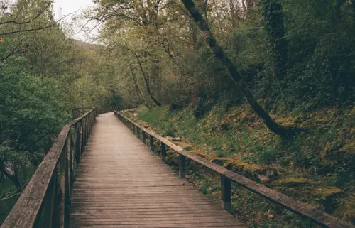 Silent Pathways