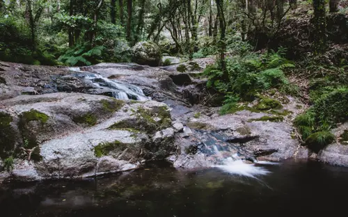 Stream Flow