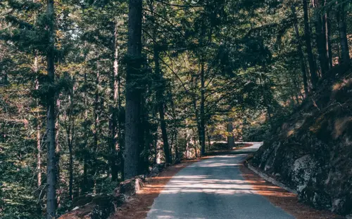 Summer Trails