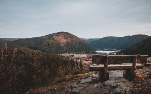 The Bench On The Mountain