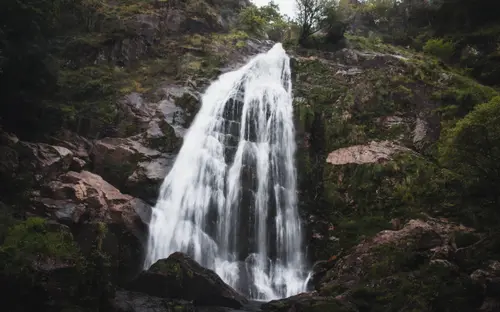 The Big Fall