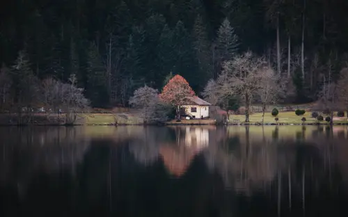 The House By The Lake