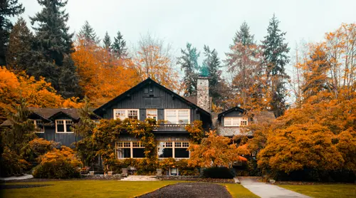 The House In The Woods