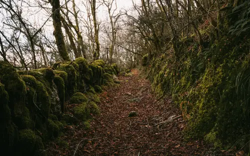 The Old Pathways