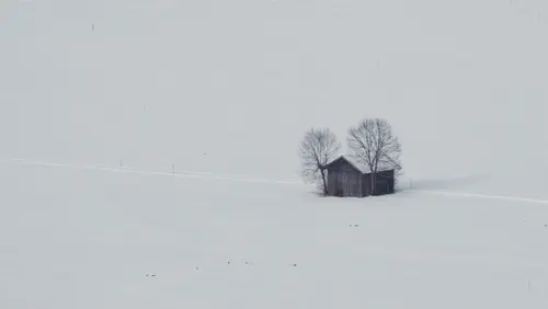 The Small Cabin In The Snow
