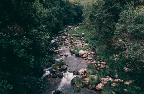 Through The Rocks
