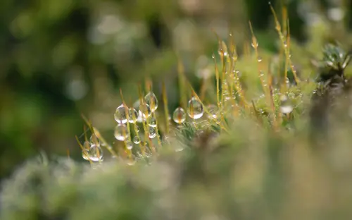 Waterdrop