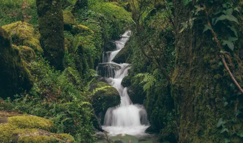 Waterfall