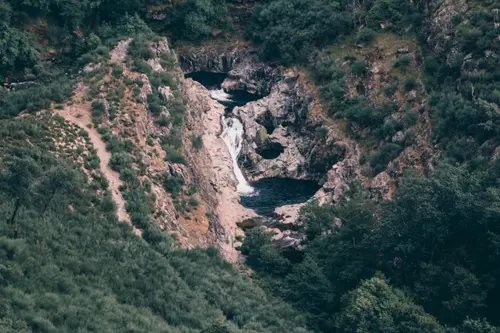 Wild Lagoon