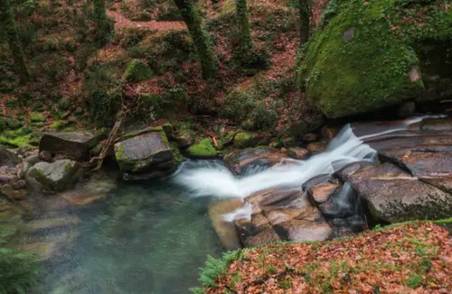 Wild River