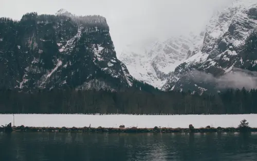 Winter Tales