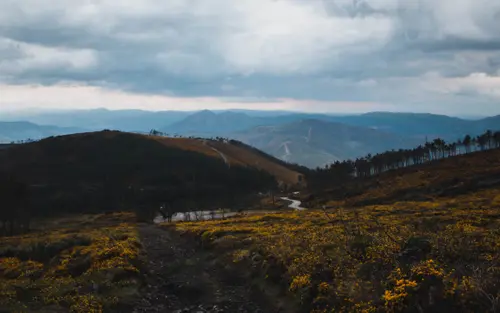 Yellow Rain Roads And Mountains